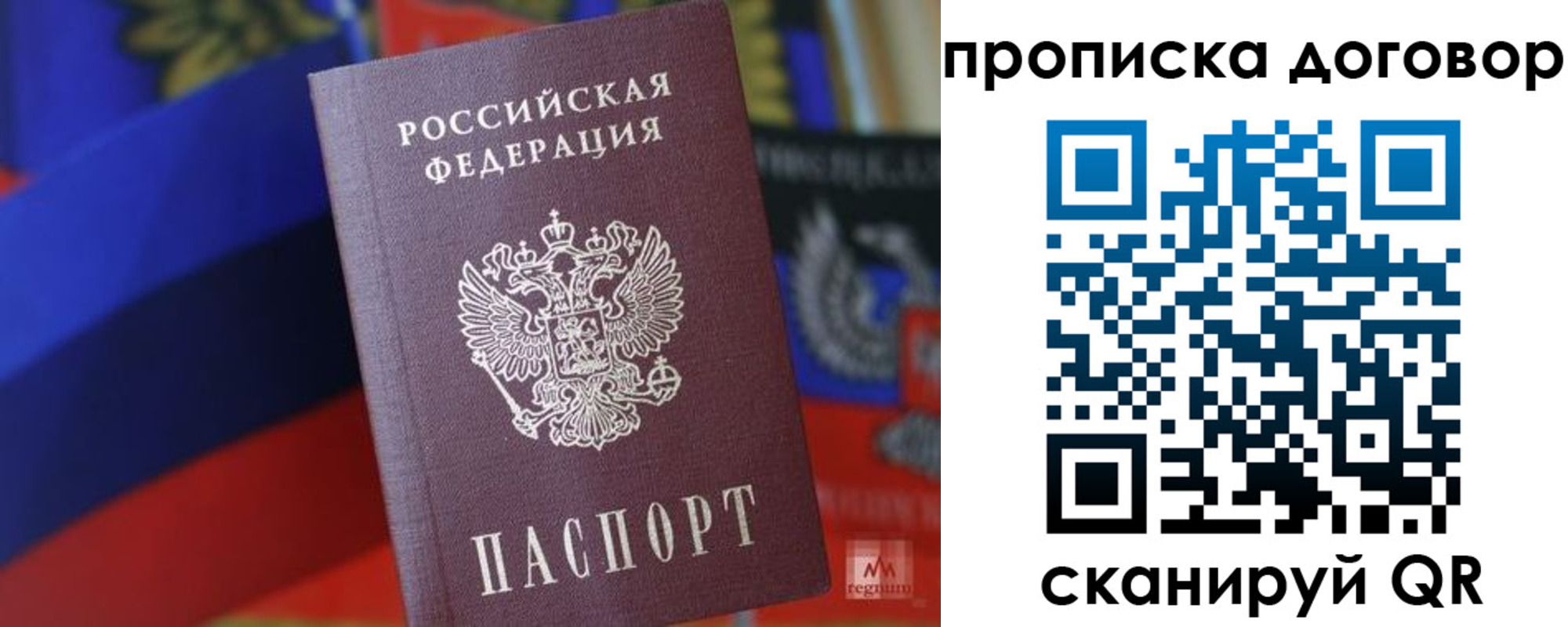 прописка поиск в Нижнекамске